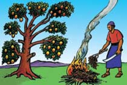 Thứ Tư Tuần XII TN Năm C